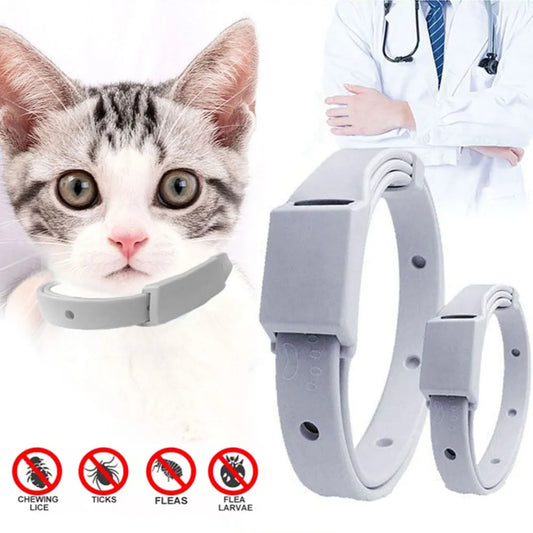 Free your pet from parasites once and for all with the new flea and tick collar!